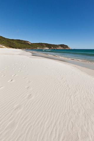 253 Wilson Promontory NP.jpg